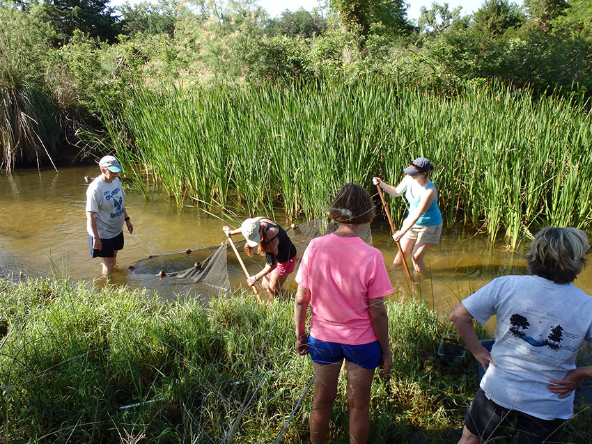 image of volunteers in stream