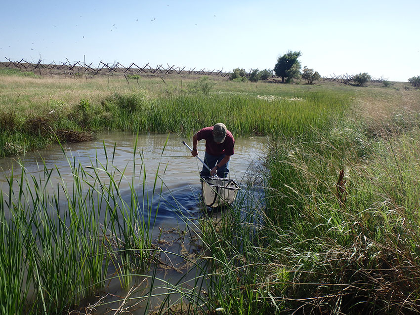 image of man fishing