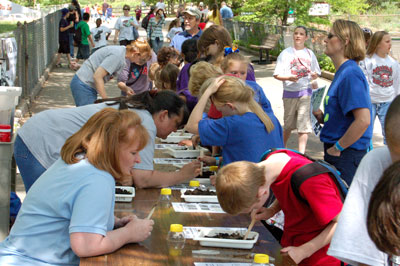 image of students at Soil Critters activity station