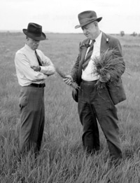 image of Hugh Bennett discussing with F.S. Hurd