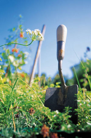 image of gardening shovel in grass