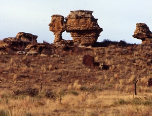 image of Oklahoma panhandle high plains rangeland