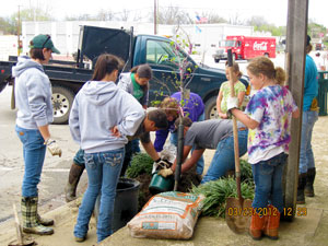 image of students planting tree