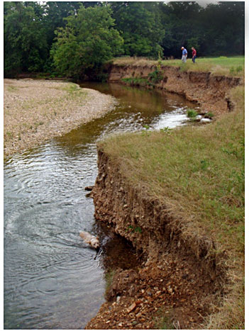 Before a streambank on Tyner Creek in Adair County.