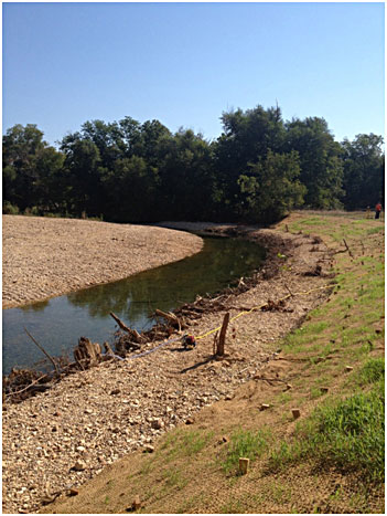 a streambank on Tyner Creek in Adair County.
