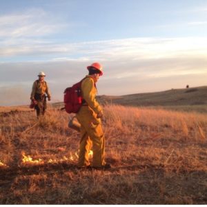 Great Plains Fire Summit