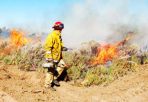 Prescribed Burn Associations Receive New Radios - Oklahoma Conservation ...