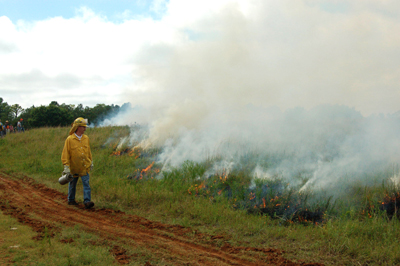 image of prescribed burn in progress