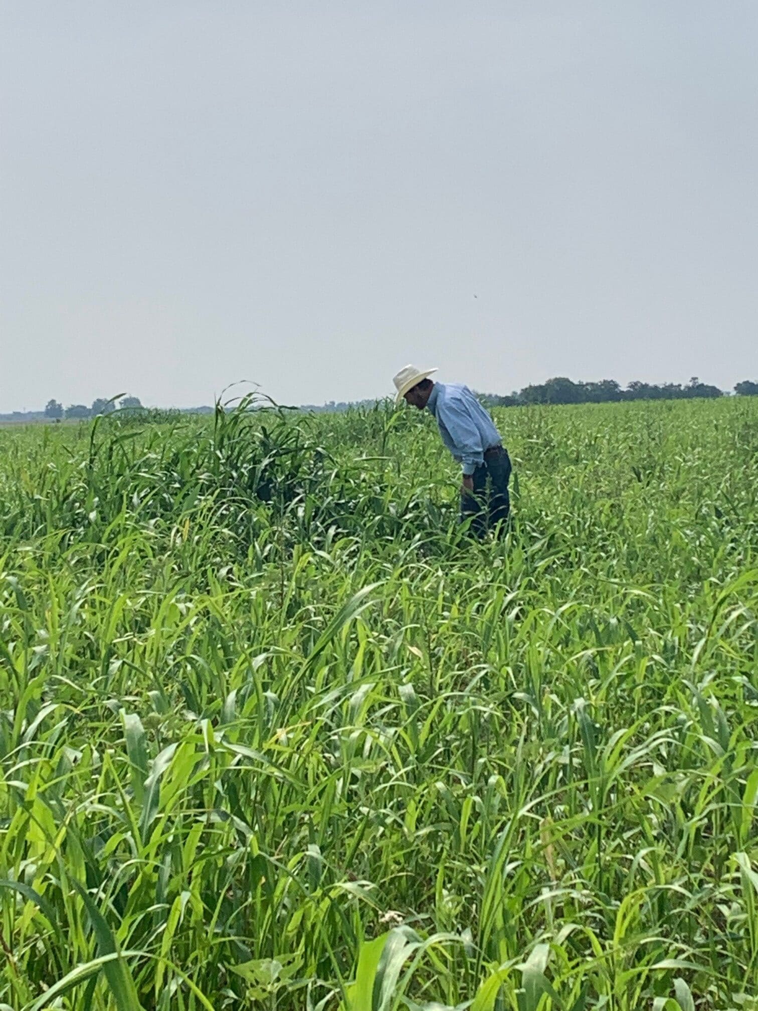  IMPORTANT UPDATE EVENT CHANGE Oklahoma Conservation Commission Soil 