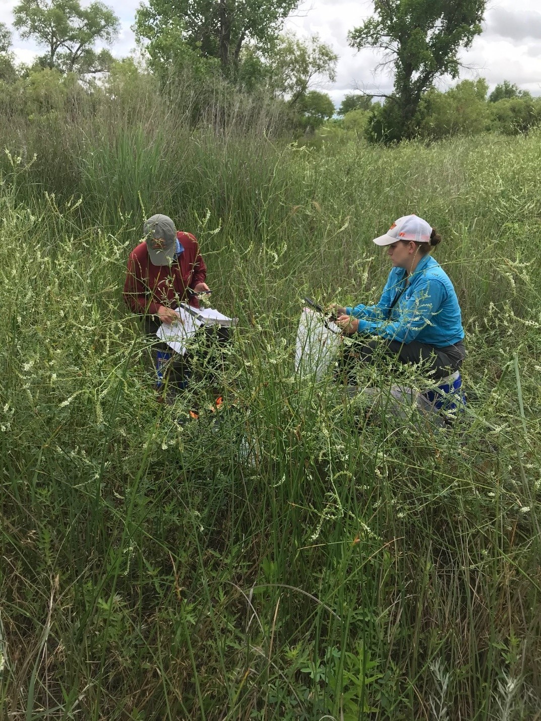 Oklahoma Conservation Commission team goes the extra miles for the