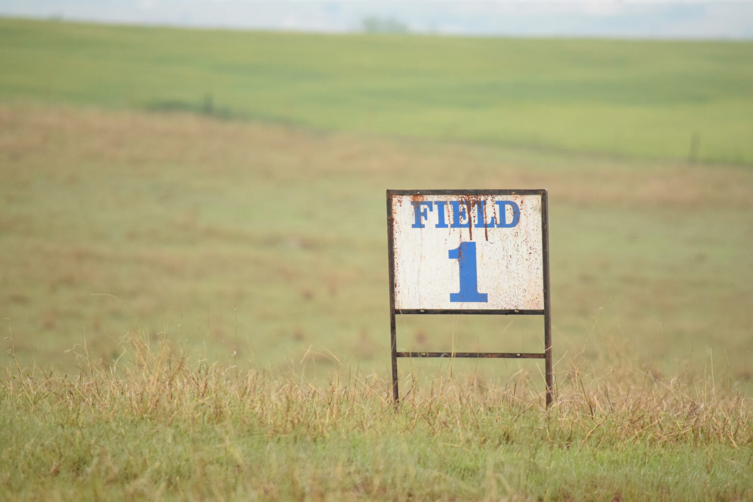 National Land and Range Judging Contest Showcases Agricultural Excellence in El Reno, Oklahoma