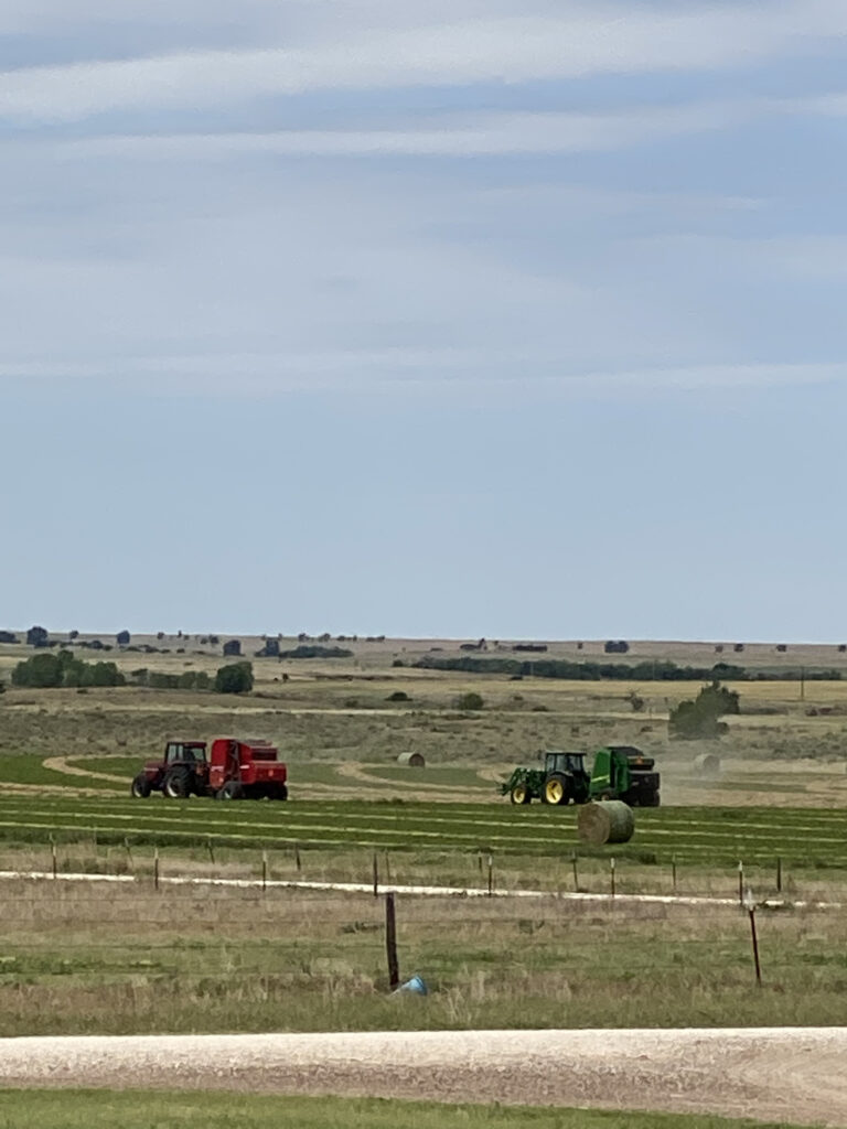 Hay Cutting - Hiner, Kelln, & Quisenberry pt 1