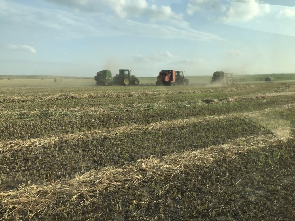 Hay Cutting - Hiner, Kelln, & Quisenberry pt 3